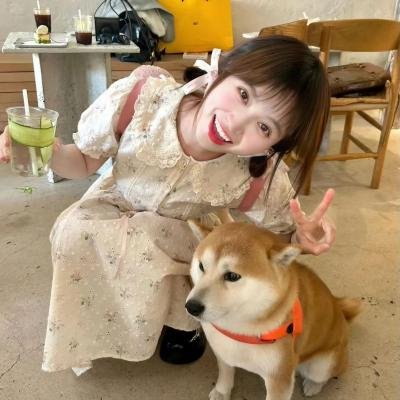 恋恋不忘的我们